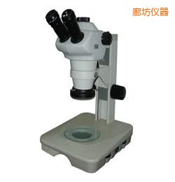 �ȷ��r(sh��)���wҕ�@΢�R