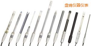 盤(pán)錦電導(dǎo)電極