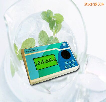 武漢合成色素快速檢測(cè)儀